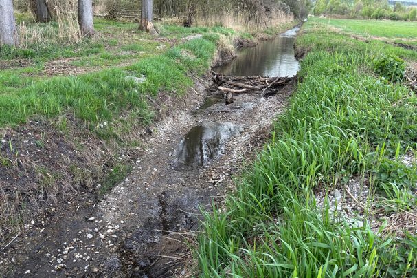 Biber hält Wasser zurück Biber schützt vor Austrocknung des Mooses
