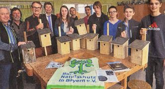 Nistkästen_Mittelschule