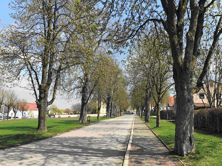 Allee in Mengkofen