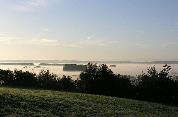 Koenigsauer Moos Morgenstimmung