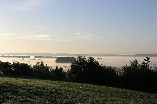 Koenigsauer Moos Morgenstimmung