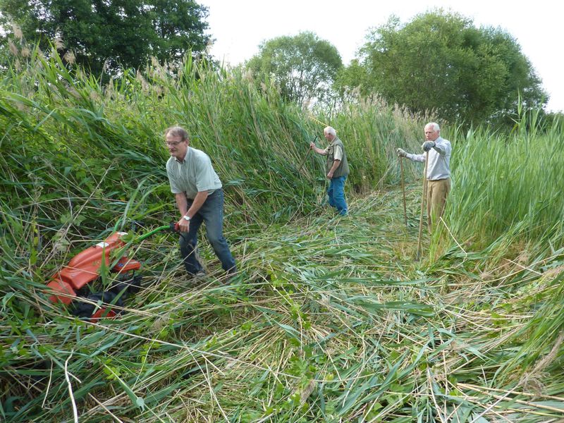 Bund Naturschutz Nimmt Alte Streuwiese In Pflege - BUND Naturschutz In ...